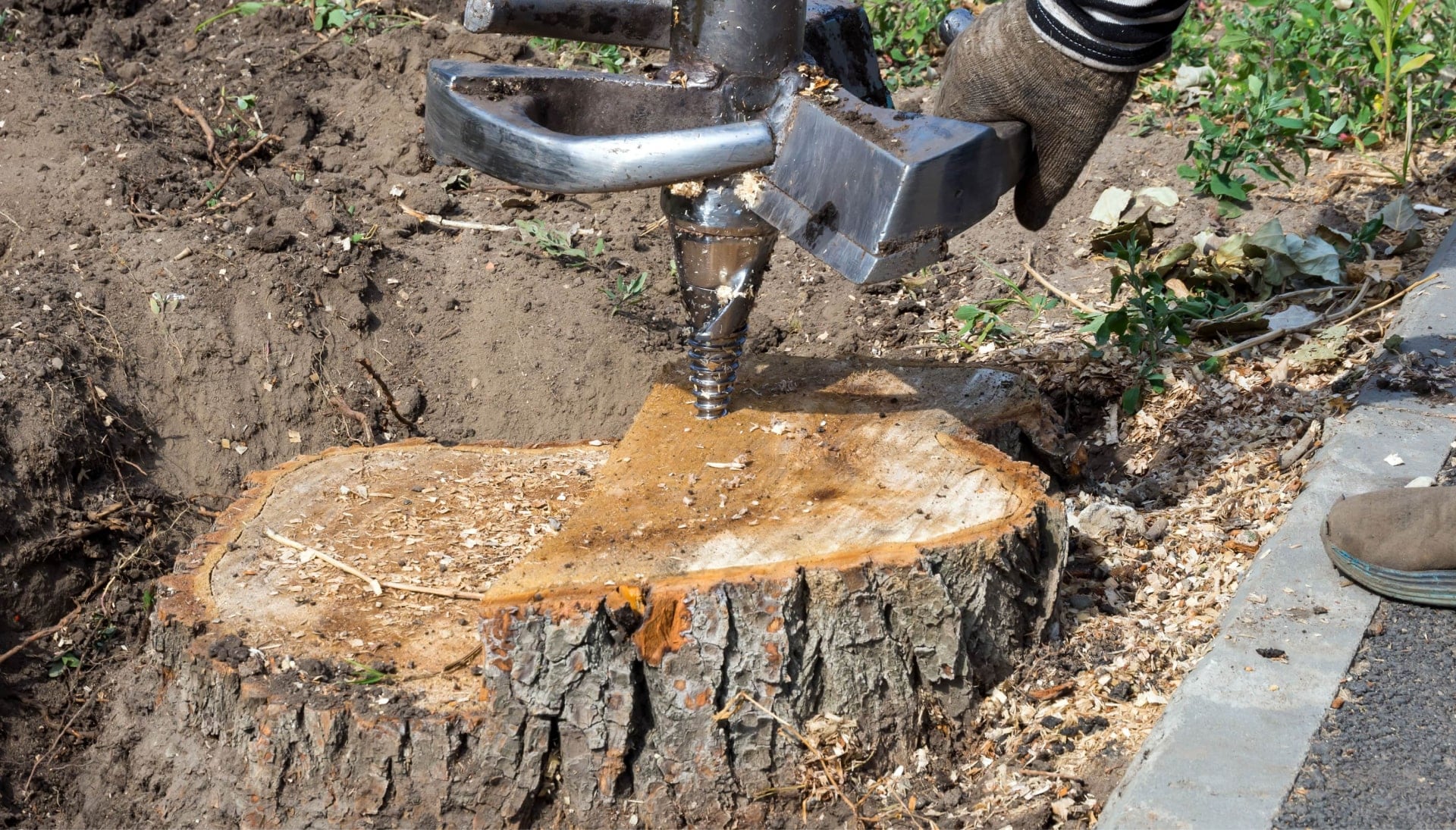 A tree stump removal is in process in Summerville, South Carolina